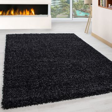 Life Shaggy tappeto pelo lungo rettangolo 240x340cm antracite