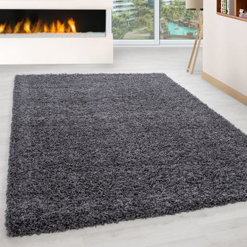 Life Shaggy tappeto pelo lungo rettangolo 240x340cm grigio