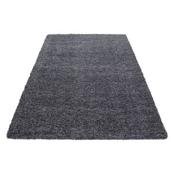 Dream Shaggy tappeto pelo lungo rettangolo 80x150cm grigio