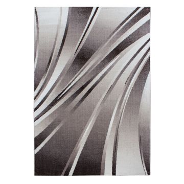 Parma Kristal tappeto pelo corto rettangolo 240x340cm marrone