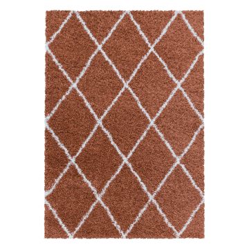 Alvor Shaggy tappeto pelo lungo rettangolo 240x340cm terra