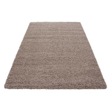 Dream Shaggy tappeto pelo lungo rettangolo 65x130cm beige