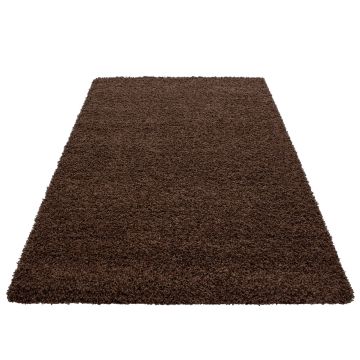 Dream Shaggy tappeto pelo lungo rettangolo 65x130cm marrone