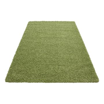 Dream Shaggy tappeto pelo lungo rettangolo 65x130cm verde