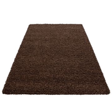 Dream Shaggy tappeto pelo lungo rettangolo 200x290cm marrone