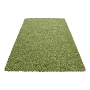 Dream Shaggy tappeto pelo lungo rettangolo 200x290cm verde