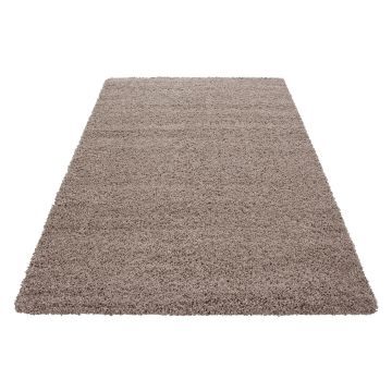 Dream Shaggy tappeto pelo lungo rettangolo 200x290cm beige