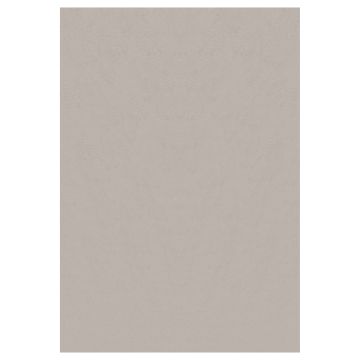 Sky tappeto pelo corto rettangolo 140x200cm beige