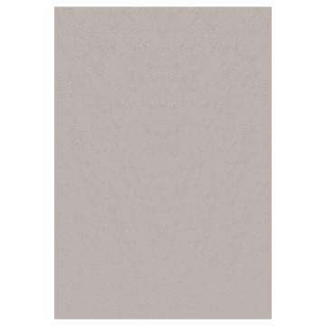 Sky tappeto pelo corto rettangolo 160x230cm beige