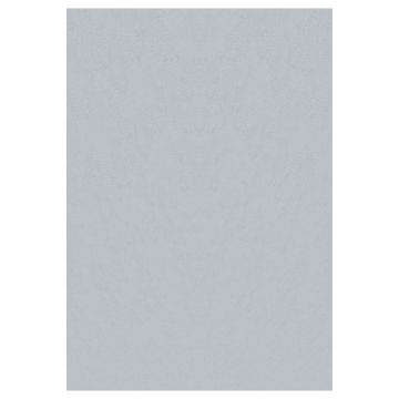 Sky tappeto pelo corto runner 80x150cm argento